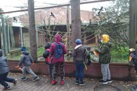 received_335832467514450